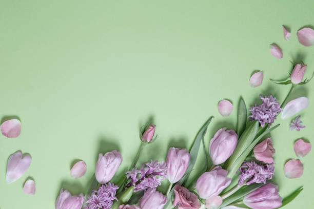 istock spring flowers on green paper background 2199572771