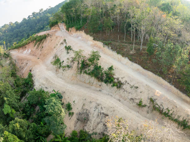istock Deforestation aerial photo,Forest destroyed environmental damage from deforestation and land erosion in rural areas,Deforestation environmental destruction,Rainforest destroyed for human development 2199593162
