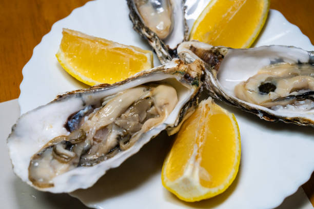istock raw oysters with lemons and ices 2199594555