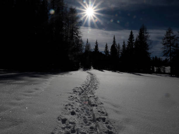 istock Snow shoes snowmobile tracks in winter 2199595933