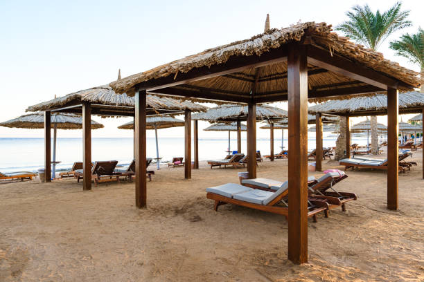 istock Relaxation areas on a serene beach with straw umbrellas and lounge chairs during sunset 2199597517