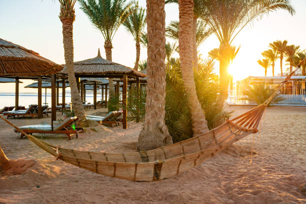 Hammock sways gently between palm trees on a sandy beach, illuminated by the warm glow of the setting sun. Surrounding cabanas and loungers offer a peaceful retreat by the water.