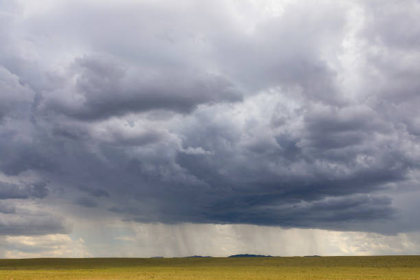 Landscape with big clouds and rain in the steppe