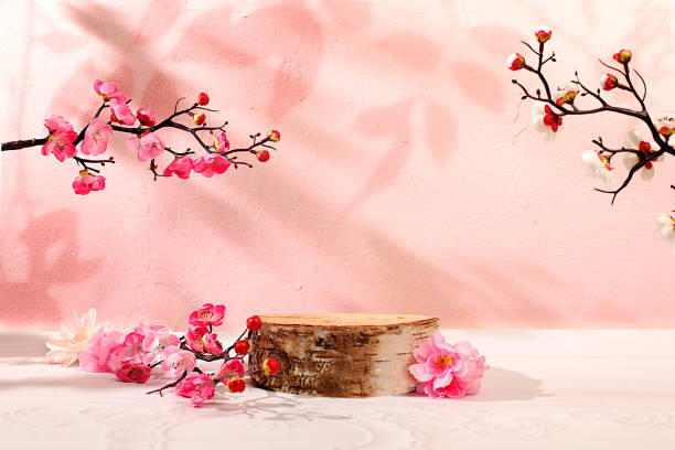 istock Abstract spring flower arrangement with cherry blossom branches and empty wooden podium,elegant beauty concept,stage for product display and business concept.Minimal modern aesthetics 2199605912
