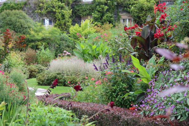 istock Colourful flower beds in a garden in summer 2199613324