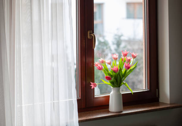 potted flower, domestic room, decoration, window