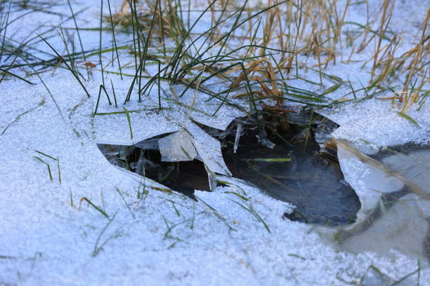 istock When water is frozen, grass grows upward 2199625334