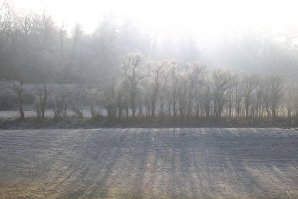 Scenic view on November wild nature. Amazing fall. Tranquil autumn landscape.