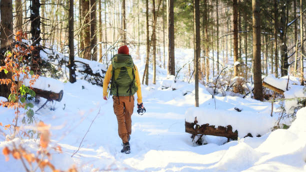 istock Colorfully Dressed Hiker Exploring a Sunny Winter Forest in the Mountains 2199632090