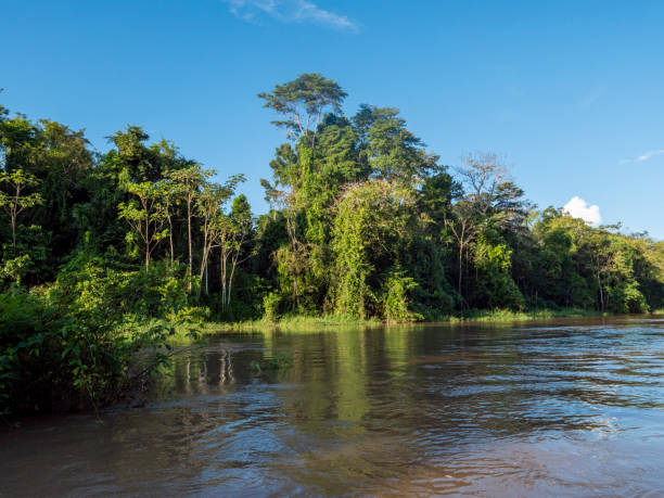 istock Amazon river landscape on a branch of the Amazon. 2199632115