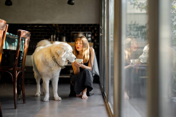 A barefoot woman sits on the floor of a modern kitchen, gently interacting with her large white dog while holding a cup of coffee. The glass window reflection adds depth to the cozy and intimate scene