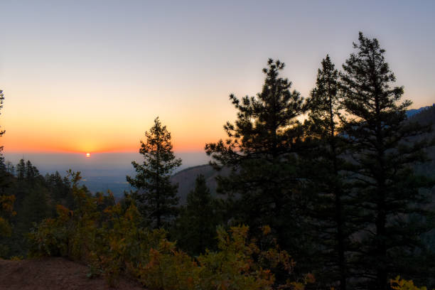 istock Sunrise in the Pines 2199647525