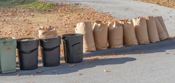 istock fallen leaves collected in recycle paper bag in autumn 2199647729