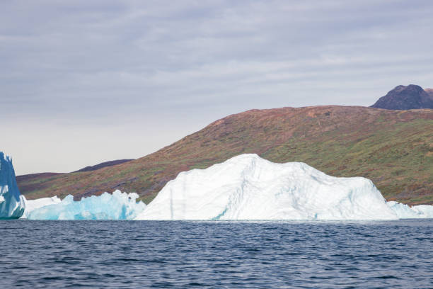 Kayaking in Tasiusaq ice fjord (South Greenland)