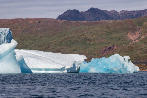 istock Kayaking in Tasiusaq ice fjord (South Greenland) 2199649053