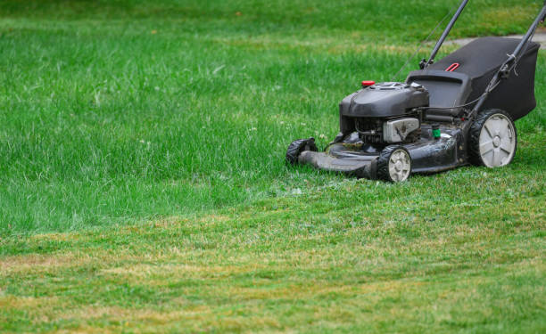 istock gas mower working on mowing the lawn 2199649713