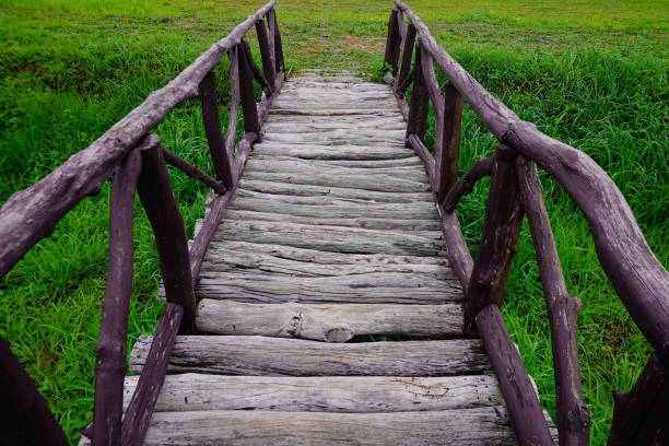 Wood bridge made from timber middle on the green paddy field.