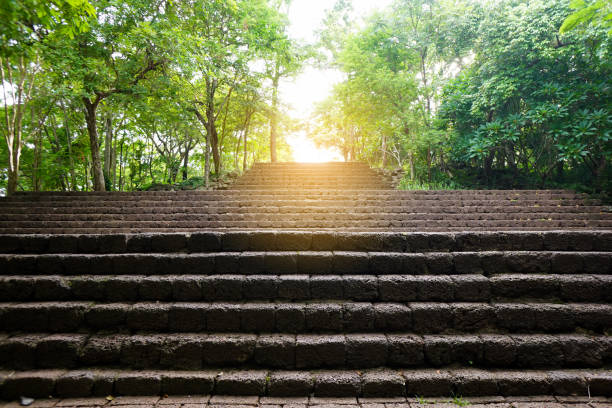 Old wide red stone staircase among green trees. Stairway step through a historical park with beautiful sunlight at above. Old stony steps in Prasat Hin Khao Phanom Rung Park, Thailand.