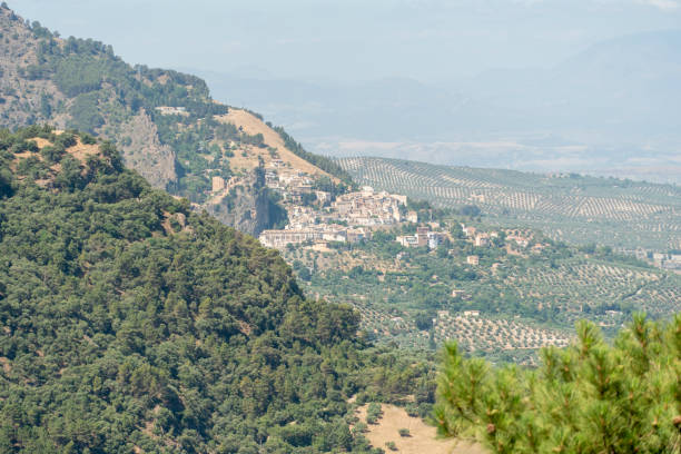 istock Olive trees from viewpoint in Cazorla mountain range Jaen Andalusia Spain La Iruela in the background 2199660711