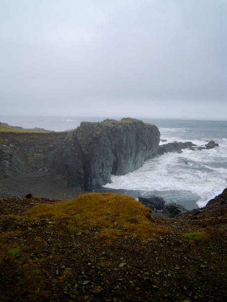 istock Puffin island - Iceland 2199663566