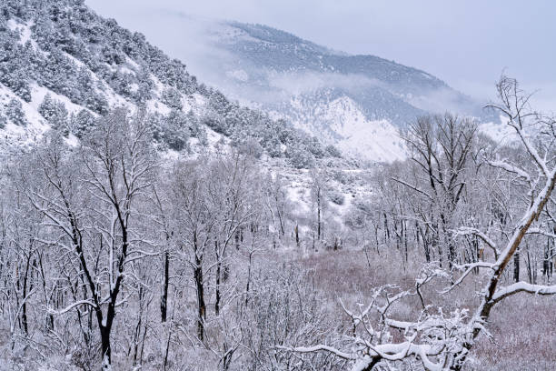 istock Fresh Snowstorm Scenic Landscape View Along Mountain River 2199664332