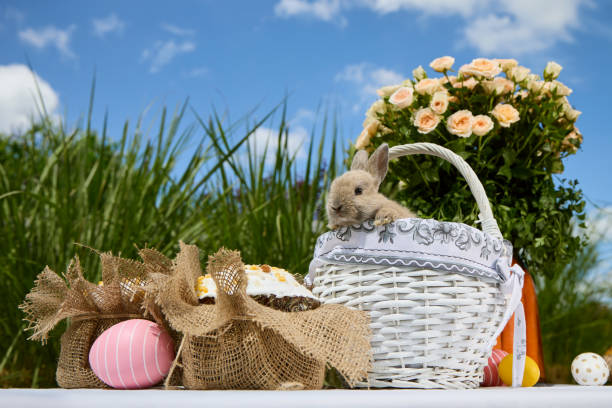Baby rabbit in decorative basket with easter eggs, cake, and roses outdoors