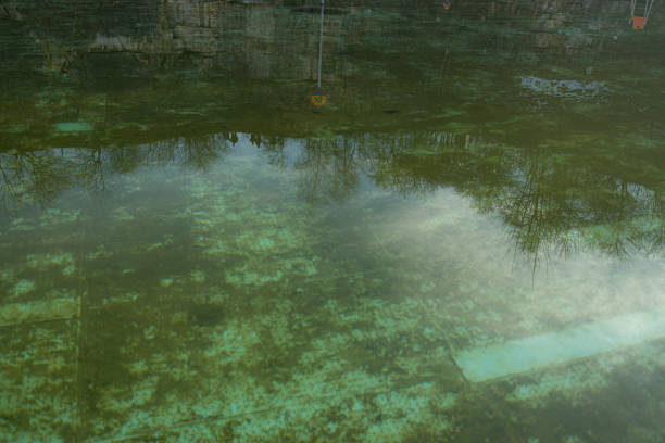 Swimming pool with dirty green water close-up. High quality photo
