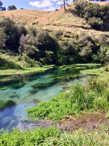 istock Blue spring - New Zealand 2199668956