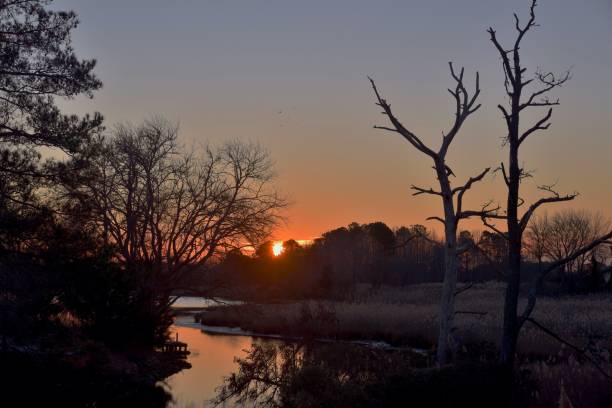 istock Winter Morning Sunrise Over Still Crek 2199673520