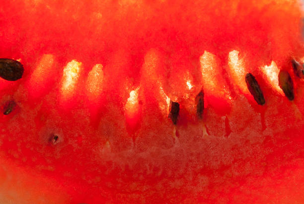 Fresh red juicy watermelon pieces with seeds. Summer.