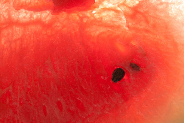 Fresh red juicy watermelon pieces with seeds. Summer.