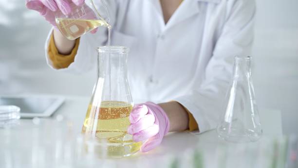 istock A scientist, wearing a lab coat and pink protective gloves, is pouring a yellow oily liquid from one beaker to another in laboratory, close up. Medicine and science 2199675780