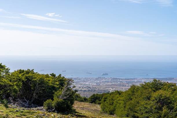 istock Punta Arenas coastline with lush greenery 2199679644