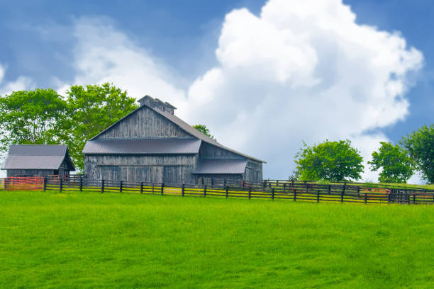 istock Old Weathere Barn with fence and cattle-Richmond, Kentucky 2199683996