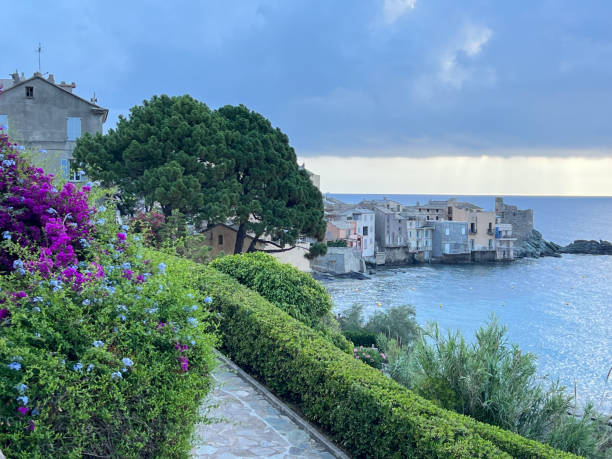 Vibrant flowers lining a scenic pathway beside a serene coastline. Picturesque view of the sea under a cloudy sky.