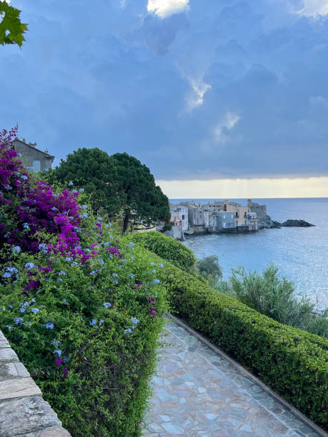 istock Coastal Pathway with Blooming Flowers Overlooking Sea 2199685285