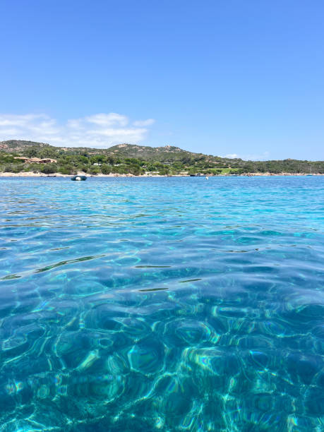 Vibrant turquoise sea with boat near lush island. Scenic coastal view with clear sky.