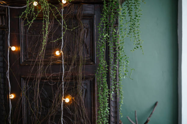 Decorative door adorned with greenery and warm lights in a cozy setting