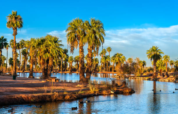 istock Palm Trees and Water Reflection at an Oasis Surrounded by Desert in Papago Park, Phoenix, Arizona 2199709540