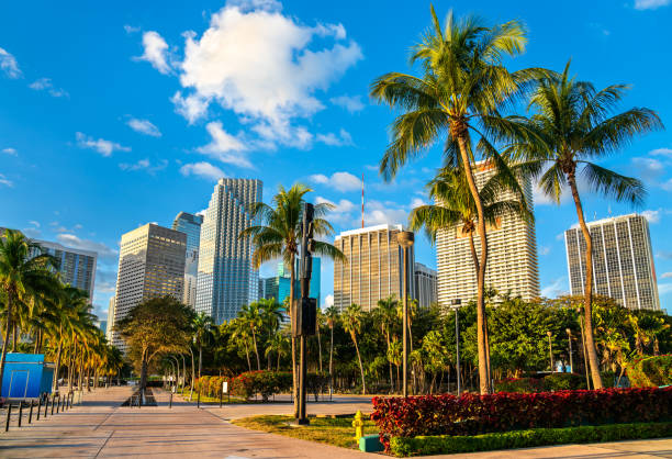 istock Skyscrapers of Downtown Miami from Bayfront Park, Florida 2199710065