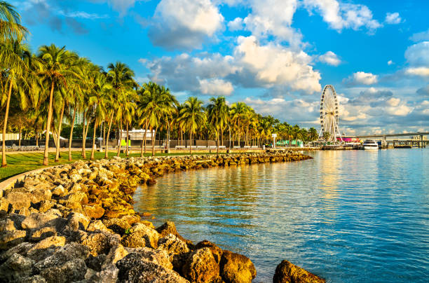 Waterfront of Bayfront Park with palm trees in Miami, Florida, United States