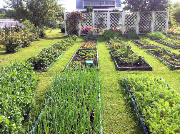 Beautiful manicured beds, white arbor, white fence.