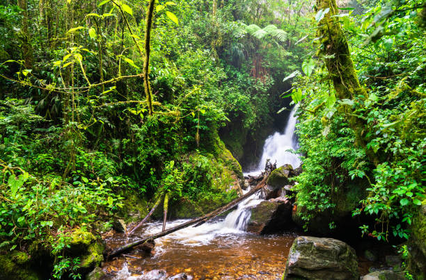 istock Waterfall on the Quindio River in the Cocora Valley, Colombia 2199713969