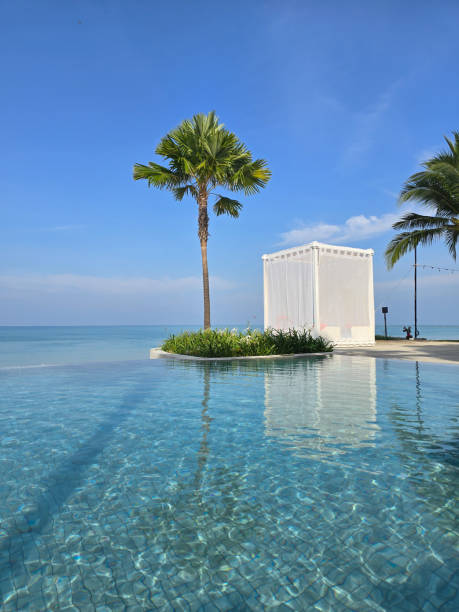 istock Serenity at Thailand with Inviting Pool and Palm Trees Under Clear Blue Skies 2199725995