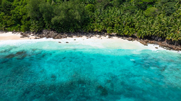 istock Turquoise ocean waves gently caress the white sand beach. Seychelles, Mahe. 2199726415