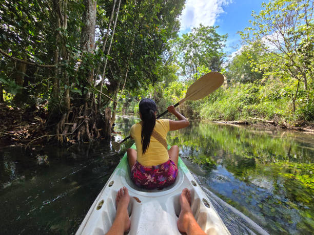 istock Exploring the serene waterways of Krabi Thailand while kayaking through lush greenery 2199728839