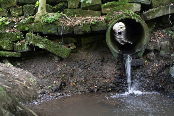 istock A concrete pipe from which water flows in a dense summer forest. The concept of the purity of nature 2199730498