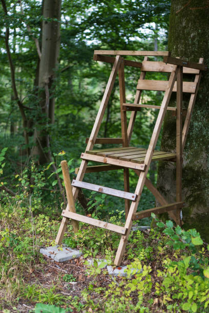 Wooden pedestal in a summer forest.