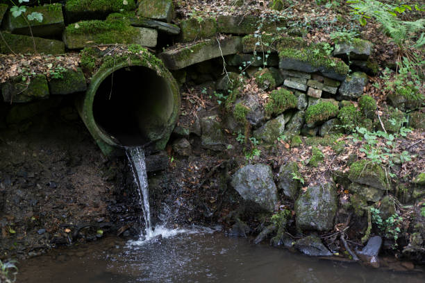 istock A concrete pipe from which water flows in a dense summer forest. The concept of the purity of nature 2199731311