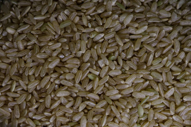 The photo's background is a pattern mimicking rice grains